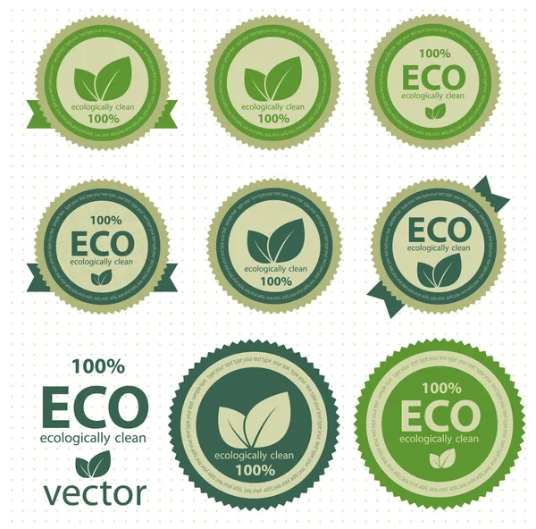 Eco labels with retro vintage design. Vector — Stock Vector