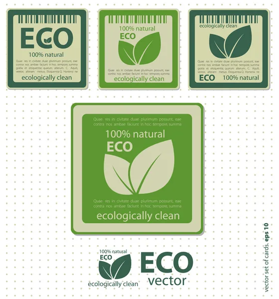 Eco etiketter med retro vintage design. vektor — Stock vektor