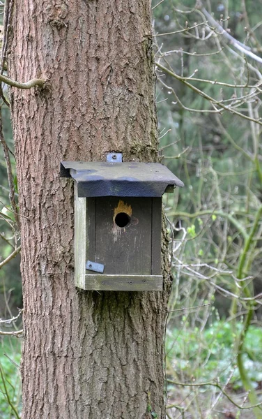 Dřevěné ptačí dům — Stock fotografie