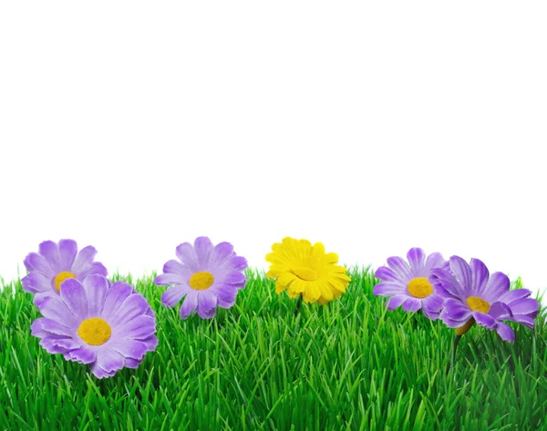 Весенние цветы на траве — стоковое фото