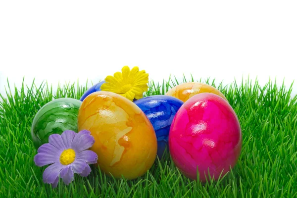 Painted Easter eggs on grass — Stock Photo, Image