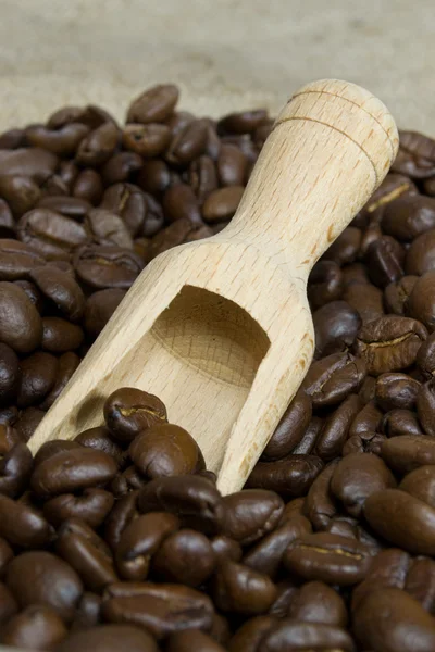 Čerstvá kávová zrna a dřevěná lopatka — Stock fotografie