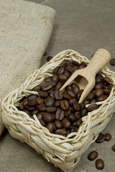 Granos de café frescos en una cesta — Foto de Stock
