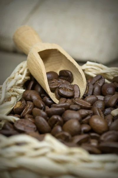Großaufnahme von Kaffeebohnen — Stockfoto