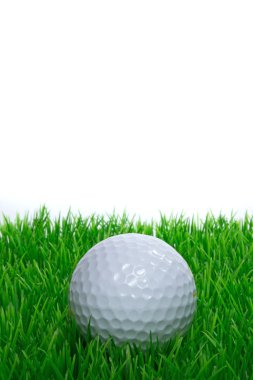 çimenlerin üzerinde oturan bir golf topu