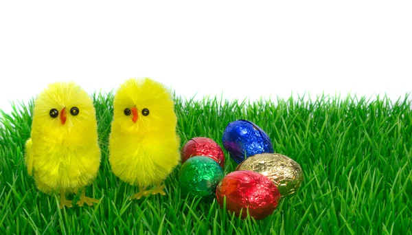 Easter chicks on grass — Stock Photo, Image