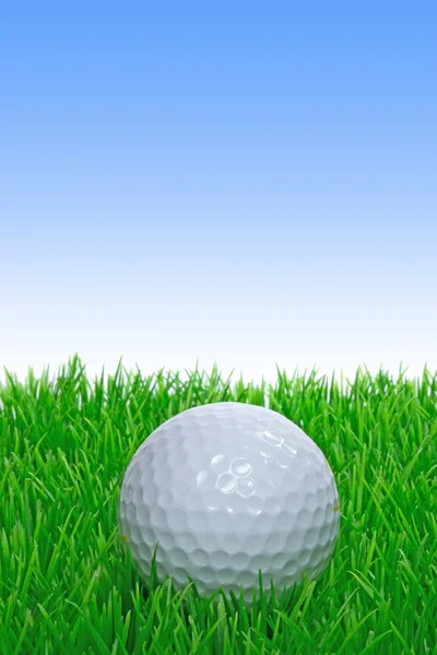 A single golf ball on grass — Stock Photo, Image