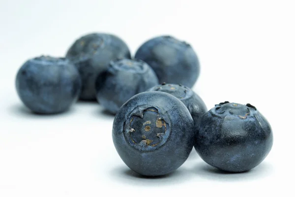 Pemilihan blueberry — Stok Foto