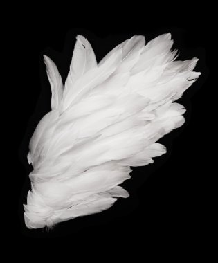 Angel wings clipart