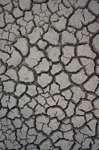 Ziemia popękana szczegół tło. — Zdjęcie stockowe