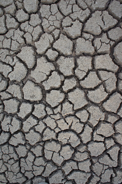 Close-up of earth cracked detail background.