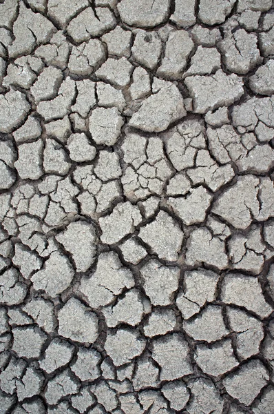 Earth cracked detail background. — Stock Photo, Image