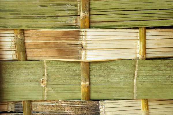 Bamboo Wall — Stockfoto