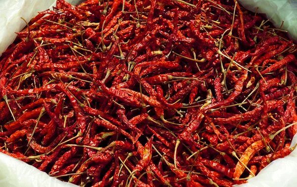 Suché červené chilli — Stock fotografie