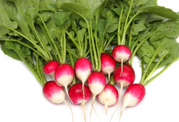 Fresh radishes on a plate. — Stock Photo, Image