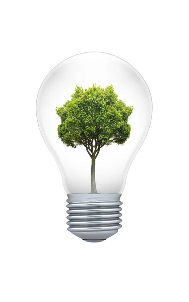 Tree in a light bulb