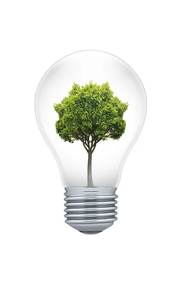 stock image Tree in a light bulb