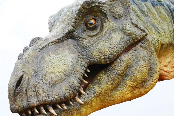 Δεινόσαυρος rex tyrannosaurus σε λευκό — Φωτογραφία Αρχείου