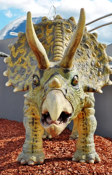 Triceratops dinosaurus — Stock fotografie