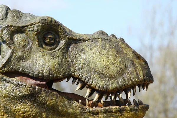 恐竜ティラノサウルス ・ レックスの頭 — ストック写真