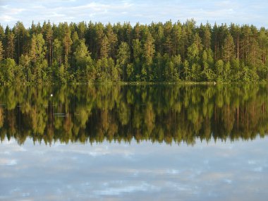 Reflection of forest in lake clipart