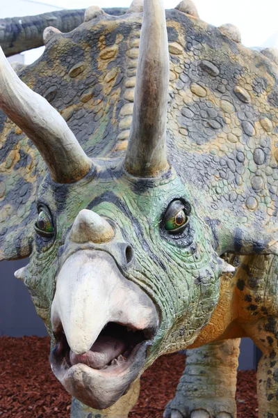 트리케라톱스 공룡 — 스톡 사진