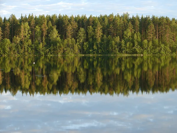 湖中森林的反思 — 图库照片