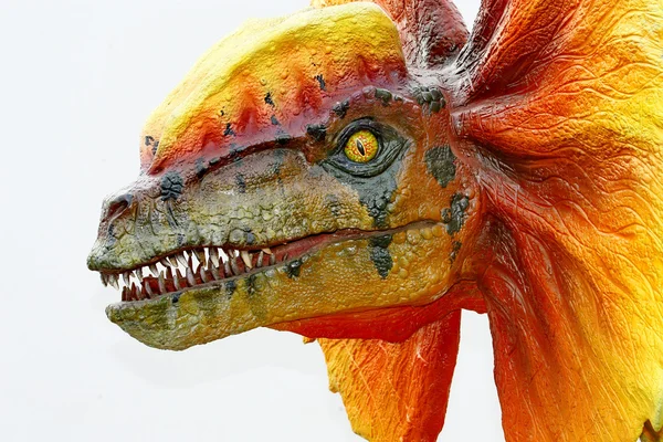 Dilophosaurus δεινόσαυρος με πορτοκαλί γιακά — Φωτογραφία Αρχείου