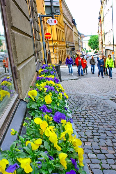 Entlang der Straßen der Altstadt (Gamla stan) am 11. Juni 2009 — Stockfoto