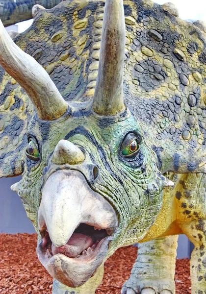 Triceratops portrét — Stock fotografie