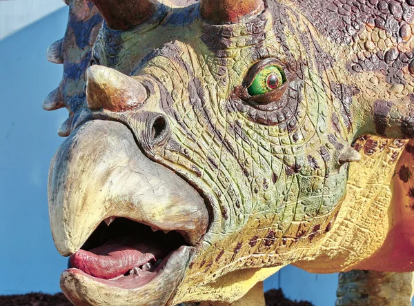 Triceratops-Porträt — Stockfoto