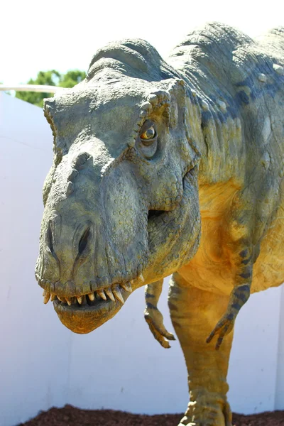 공룡 티라 렉스 — 스톡 사진