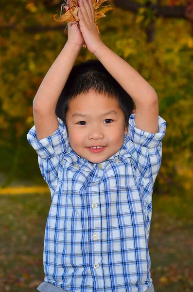 Menino asiático feliz jogando com folhas de outono Fotos De Bancos De Imagens
