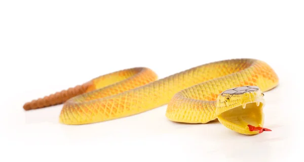 Serpente giocattolo — Foto Stock