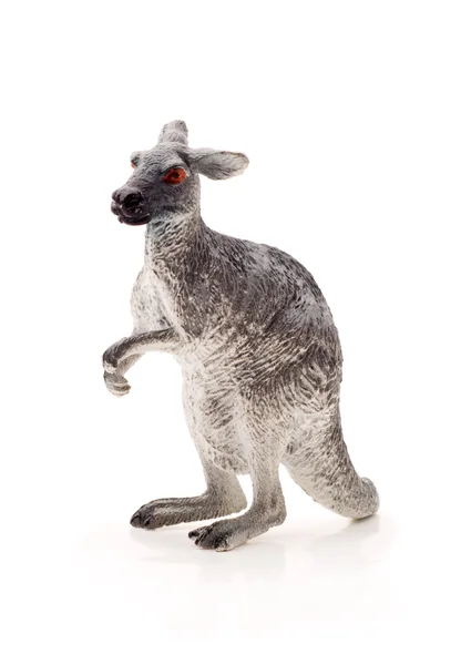 Toy kangaroo, isolated — Stock Photo, Image