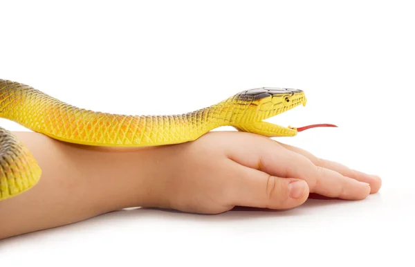 Cobra na mão da criança — Fotografia de Stock