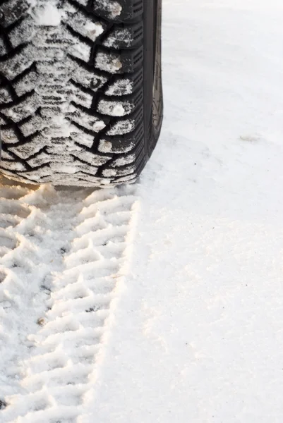 Winter tires in snow Stock Image