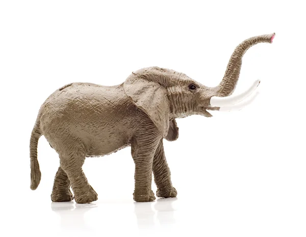 Stock image Elephant