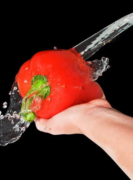 Red pepper in a female hand with a spray of water — Stock Photo, Image