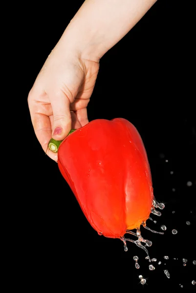 stock image Red pepper in a female hand with a spray of water