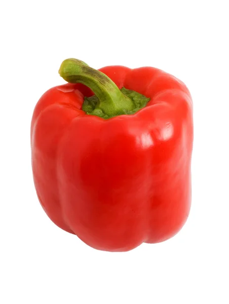 Bulgarian pepper on a white background — Stock Photo, Image