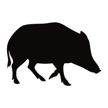 yaban domuzu yaban domuzu siluet