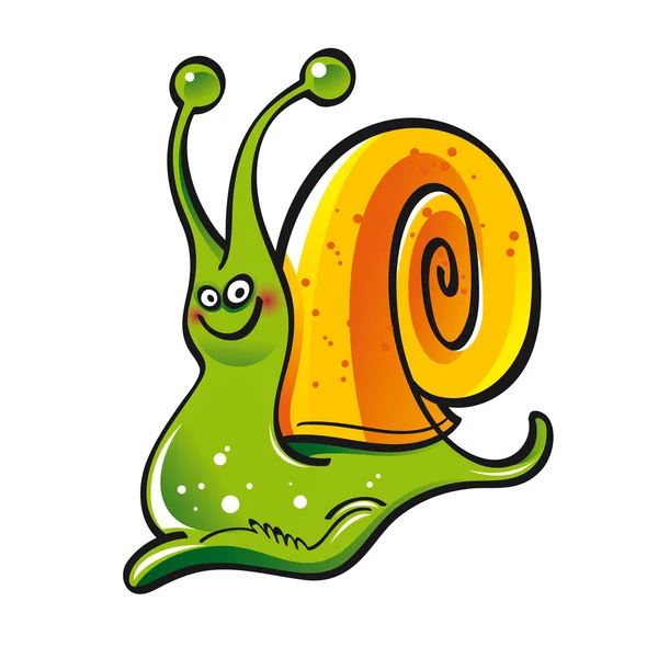 Snail slug shell — Stock Vector