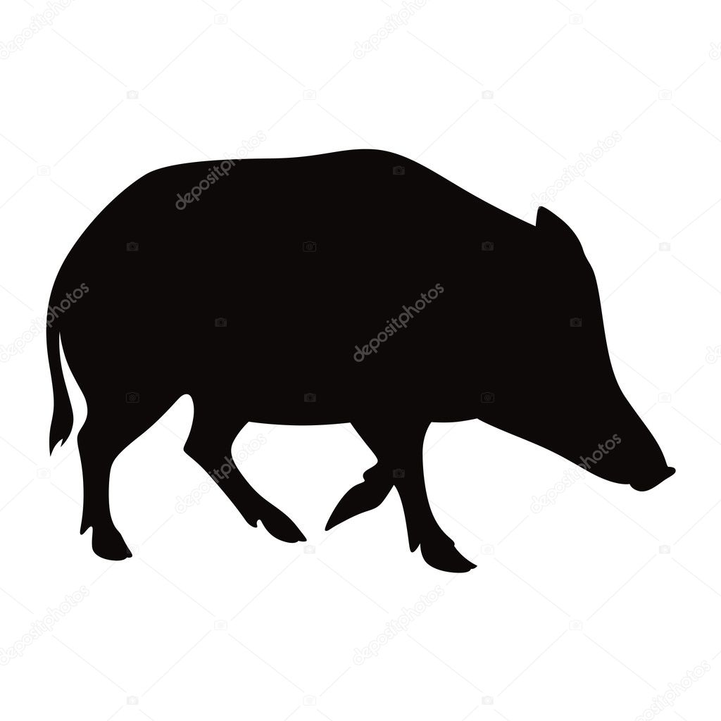 Boar wild pig silhouette