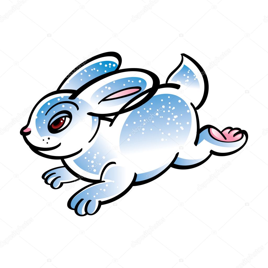 White hare bunny rabbit pet animal