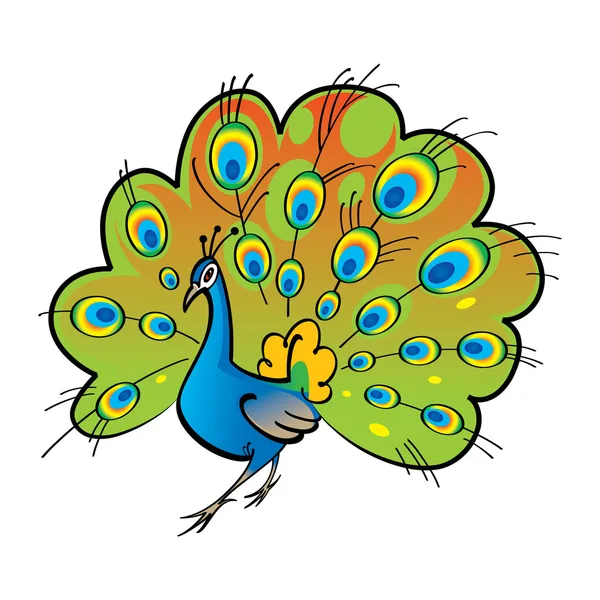 Bel oiseau Plume de queue de paon — Image vectorielle