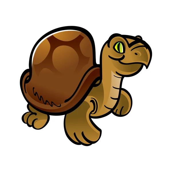 Schildkrötentier Reptilienzoo — Stockvektor