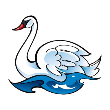 White Swan bird fauna water lake swim feather