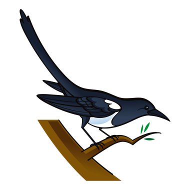 Magpie bird fauna tree clipart