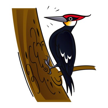 Woodpecker wood forest tree bird fauna clipart